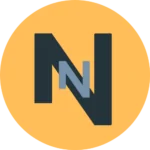 Website icon for nsin.us
