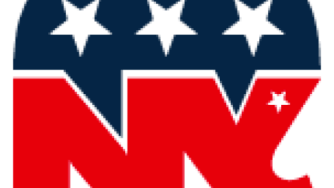 Website icon for nygop.org