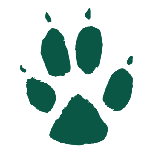 Website icon for nywolf.org