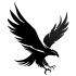 Website icon for oakparktalon.org