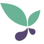Website icon for ocadsv.org