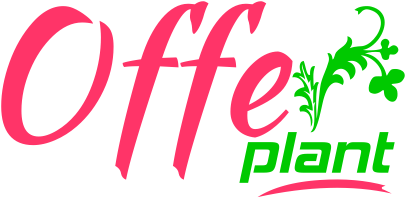 Website icon for offerplant.com