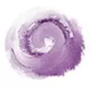 Website icon for omnisciencia.com.br