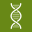 Website icon for palaeogenetics.com
