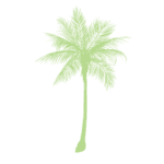 Website icon for palmbeachchamber.com