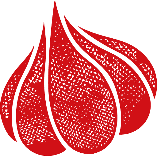 Website icon for paulinacocina.net