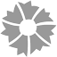 Website icon for peramuseum.org
