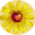 Website icon for permaculturewomen.com