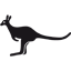 Website icon for perry.it