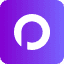 Website icon for picter.com