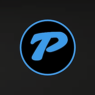 Website icon for pictision.com