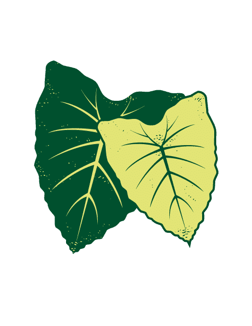 Website icon for pidf.org