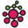Website icon for pinet.org.uk