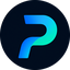 Website icon for pingwire.dev