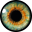 Website icon for pipilottirist.net