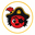 Website icon for piratesofbugs.com