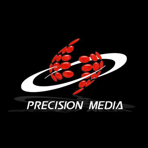 Website icon for precisionav.net