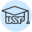 Website icon for profusp.com