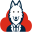 Website icon for programmingwithwolfgang.com