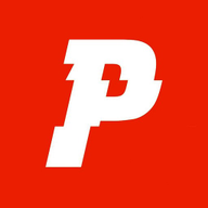 Website icon for puna.nl