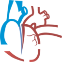 Website icon for raaonlinecertify.com