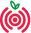 Website icon for raspberryshake.org