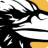 Website icon for ravensoft.com