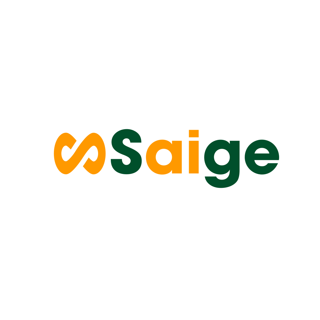 Website icon for realsaige.com