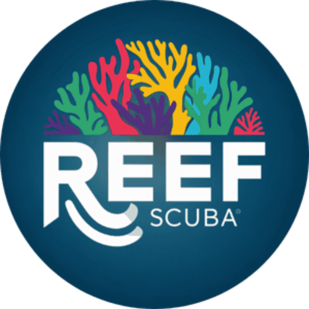 Website icon for reef-scuba.org