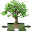 Website icon for religare.org