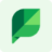 Website icon for repustate.com