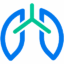 Website icon for respiramedical.com.pe