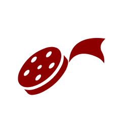 Website icon for reveel.net