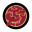 Website icon for revengeofthebirds.com