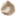 Website icon for rockidentifier.com