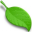 Website icon for rohsguide.com