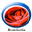 Website icon for roseindia.net