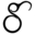Website icon for santana.com