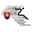 Website icon for sass.sk
