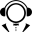 Website icon for secondinversion.org