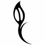Website icon for seedalliance.org