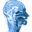 Website icon for seeingspeech.ac.uk