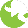 Website icon for seeturtles.org