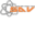 Website icon for servizioaudiovideo.it