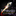Website icon for sffaudio.com