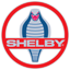 Website icon for shelby.com