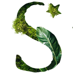 Website icon for shhotelsandresorts.com