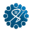 Website icon for siliconeer.com