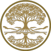 Website icon for simpletruthimaging.com