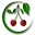Website icon for sinofoodsupply.com